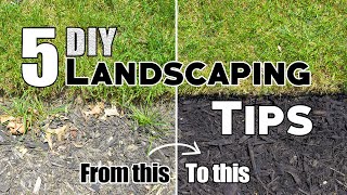 5 Cheap & Easy DIY Landscaping Tips & Ideas (Plus Bonus Tips!) 🌱