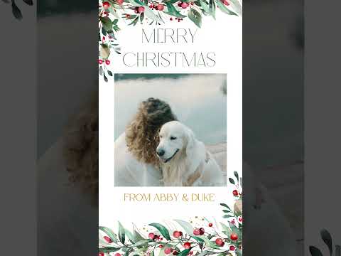 Floral Holly Family Photo Animated Christmas Video Greeting Card