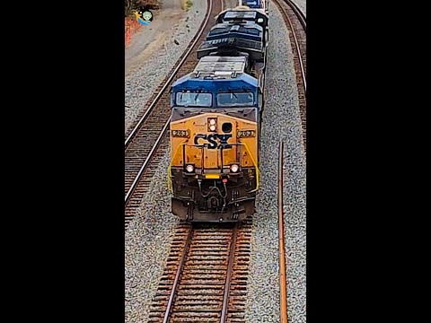 Chasing 4 Trains at Potomac Yard: A Spectacle of CSX, Amtrak, VRE and Metrorail #shorts #train