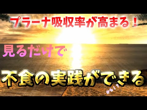 【レベル２】目指せプラーナ吸収率500％　１日３食が２食に。２食が１食に。１食が、、、おとといに。