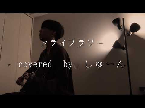 ドライフラワー/covered byしゅん