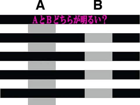 【錯覚テスト】あなたはクリアできる？９０％が騙される錯覚テスト