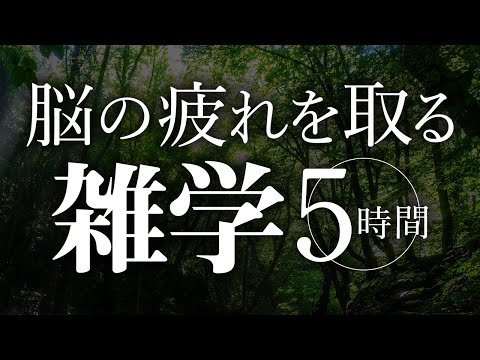 【睡眠導入】脳の疲れを取る雑学5時間【合成音声】