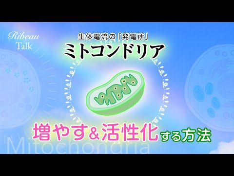 波動の高い身体作り[2]⚡️⚡️ミトコンドリア⚡️⚡️を増やす＆活性化する方法についてのお話💫アンチエイジング、健康、生体電流、免疫力