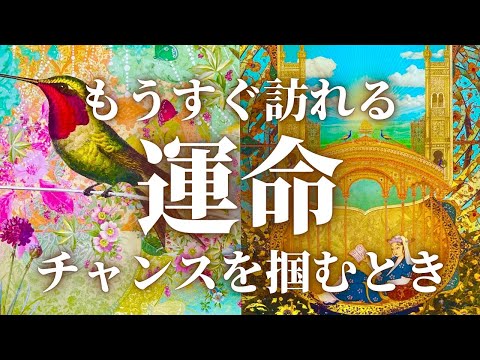 【チャンス】運命の流れ🌈新たな始まりと旅立ちの時✨奇跡のシンクロ✨個人鑑定級タロット&オラクルカードリーディング