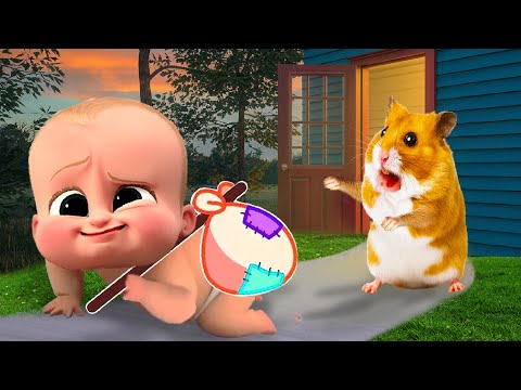 Please Don't Go! Hamster HamHam vs Bro Battle in real life