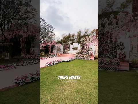 Amazing Daylight wedding decor 2024 | Tulips Events Decor #shorts #daylight