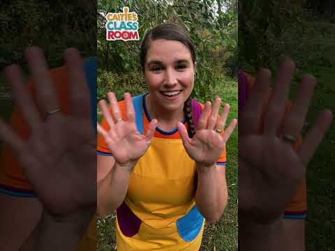 Finger Play Song For Kids! Open Shut Them #shorts #caitiesclassroom #supersimplesongs #openshutthem