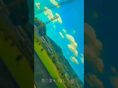 【思い出】昨年秋の旅行の未公開動画を公開しちゃいます！