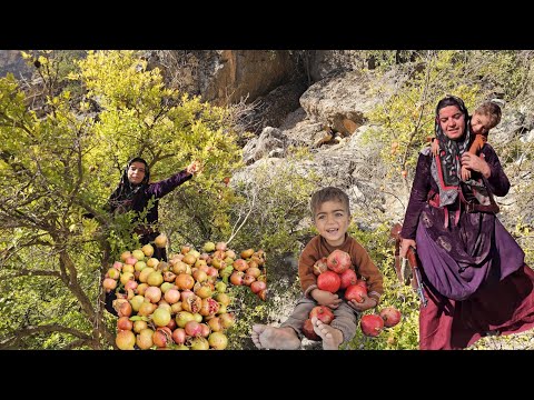 A nomadic woman: picking pomegranates in the mountains by a nomadic woman