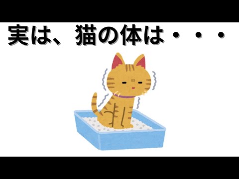 【動物の雑学】実は、猫の体は・・・