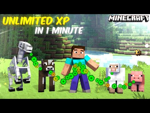 I Got Unlimited Xp In One Minute | Easiest Xp Farm Minecraft | I Made 200 IQ Xp Farm In Minecraft