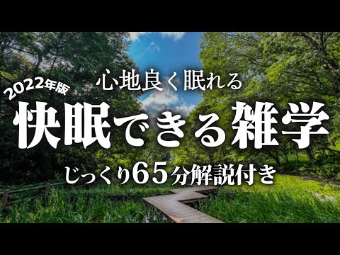 【睡眠用 雑学】快眠できる雑学【リラックス】ゆっくりと眠りに沈める雑学をまとめました♪