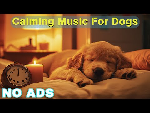 12 HOURS of Relaxing Music For Dogs💖🐶Anti Separation Anxiety Relief🐶💖Pet music🎵 Deep Sleep🐶