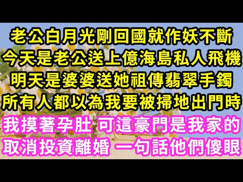 老公白月光剛回國就作妖不斷,今天是老公送上億海島私人飛機,明天是婆婆送她祖傳翡翠手鐲,所有人都以為我要被掃地出門時,我摸著孕肚 可這豪門是我家的,取消投資離婚 一句話他們傻眼#甜寵#灰姑娘#霸道總裁