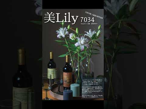 教えて三浦さん！ 美Lily7034（ビリーナナマルサンヨン）って何？  #short