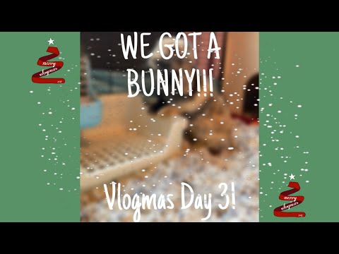 Vlogmas Day 3 | GET A BUNNY WITH ME