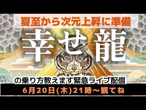 夏至から始まる次元上昇への準備！「幸せ龍」の乗り方を教えます！