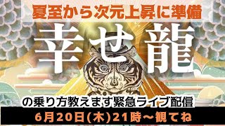 夏至から始まる次元上昇への準備！「幸せ龍」の乗り方を教えます！