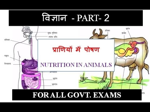 SCIENCE IN HINDI - PART-2 (प्राणियों में पोषण )Nutrition in Animals