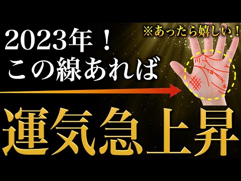 【手相占い】2023年！あったら嬉しい手相28選 後半