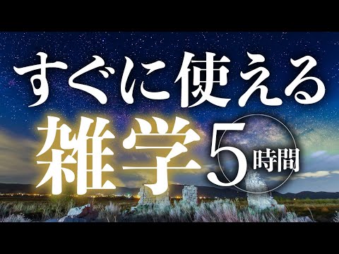 【睡眠導入】すぐに使える雑学5時間【合成音声】