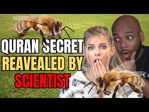 Scientist SHOCKED The Quran scientifically described the life of bees! REACTION