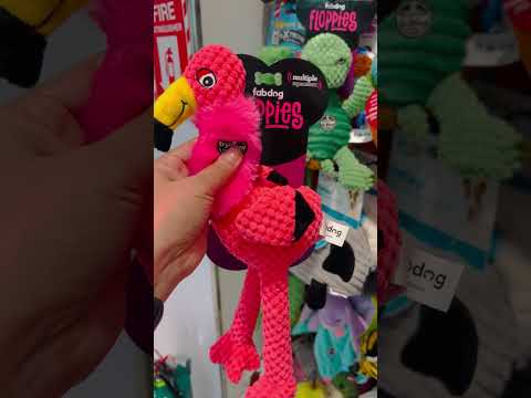 fabdog toy #asmr #shorts  #toy #squeakytoy #squeaky