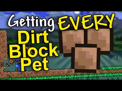 How fast can I find EVERY dirt block pet in one world