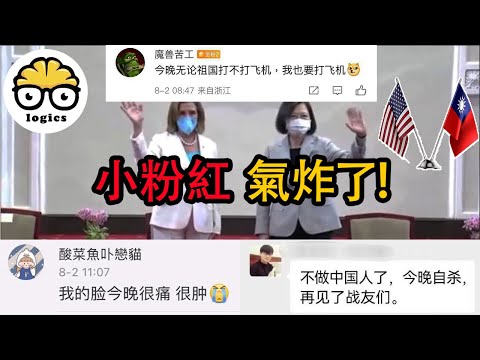 Pelosi landed in Taiwan, and Chinese jingoists lost it...LOL