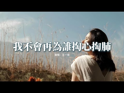 王一佳 - 我不會再為誰掏心掏肺『下次我不會 再為誰掏心掏肺，付出了真情真意 卻換來心碎。』【動態歌詞MV】