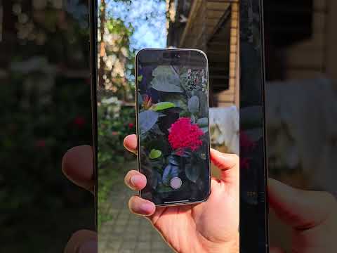 iPhone 16 Pro Max Camera Test 🔥