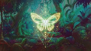 🦋THE BUTTERFLY EFFECT ⁂ Elevate your Vibration ⁂ Positive Aura Cleanse ⁂ 432Hz Music