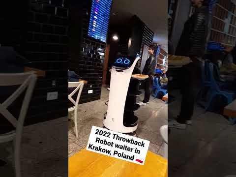 Robot waiter at Krakow airport PL #shorts #2022travel