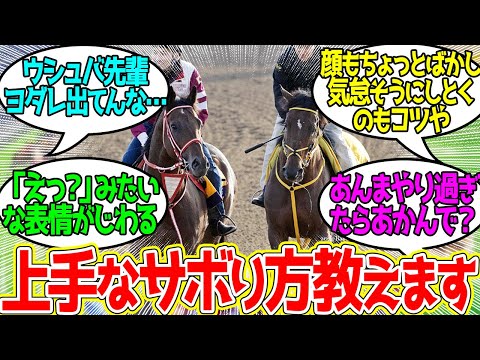 ウシュバ「ええか？練習サボりたかったらなぁ…まずはこうやってヨダレ垂らしとくんや…」に対するみんなの反応！【競馬 の反応集】