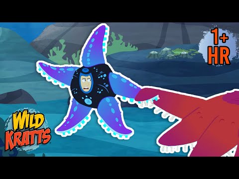 Creature Battles! | Every Creature Showdown Season 4 | New Compilation | Wild Kratts