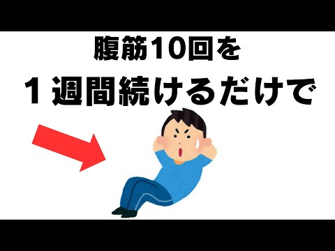 筋トレと健康の雑学【まとめ】１