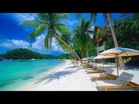 Bossa Nova Jazz Rhythm At Maldives Beach In The Morning - Bossa Nova Jazz With Ocean Waves Sound