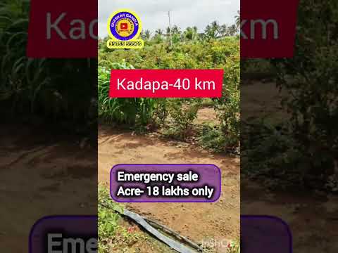 15 Acres agricultural land sale || Kadapa district || Kadapa -40 km Acre -18 lakhs only