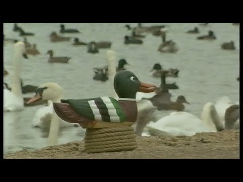 Rosie & Jim - 05x07: Ducks (Neil Brewer | 1997)