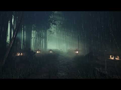 Misty Bamboo Forest Night With Rain | 8 Hours of Rain Sounds for Sleep