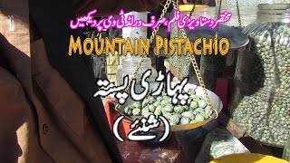 A Short Documentary "Mountain Pistachio" Directed by Khalid Hussain