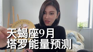 🔮天蝎座9月塔罗能量预测【太阳上升】