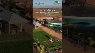 "Farm Natura Unveiled: Where Nature and Sustainable Farming Thrive"#farmnatura #planetgreen