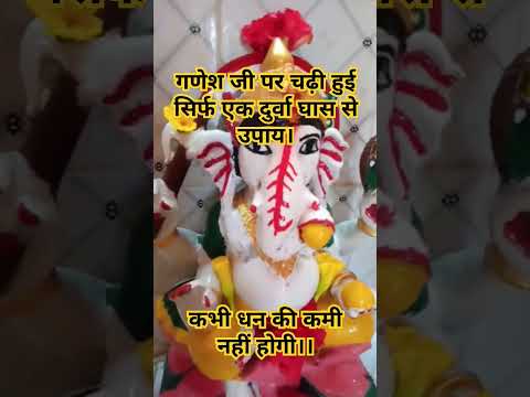 गणेश जी पर चढ़ी हुई सिर्फ एक दुर्वा घास से उपाय।#ganeshji #ganesh #pradeepmishrasehorewalekeupay