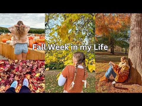 FALL WEEK IN MY LIFE (dream collabs, pumpkin patch, baking, date night)