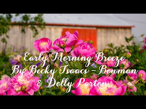 Early Morning Breeze by Becky Isaacs Bowman and Dolly Parton Music Video with Lyrics