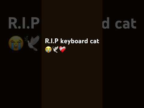 #keyboardcat RIP 🪦🕊️❤️‍🩹😭