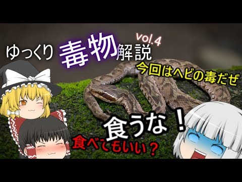 ゆっくり毒物vol.4～出血性毒～【ゆっくり解説】