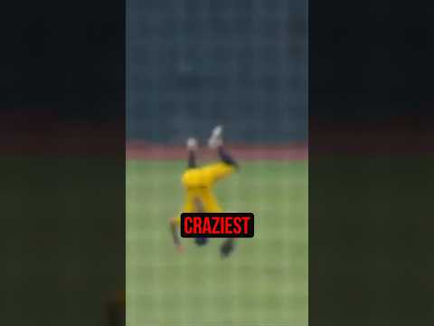 3 CRAZIEST Catches In The MLB This Season